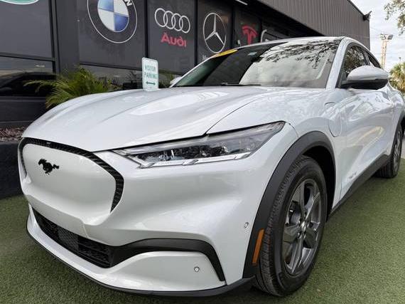 FORD MUSTANG MACH-E 2021 3FMTK1RM6MMA49138 image FORD MUSTANG MACH-E 2021 3FMTK1RM6MMA49138 image